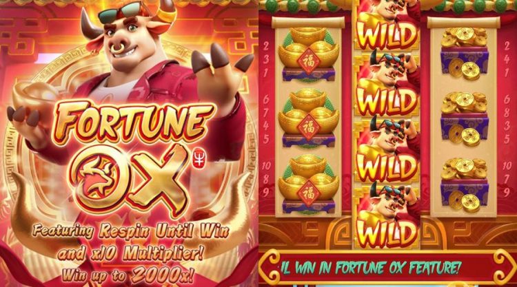 2024 dicas para jogar fortune tiger para mobile